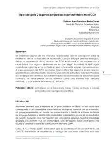 Tripas de gato y algunas peripecias experimentales en el CCH