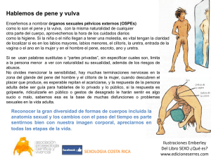 Hablemos de pene y vulva