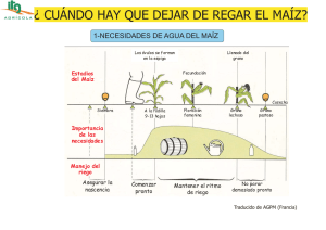 Cuando dejar de regar.cdr