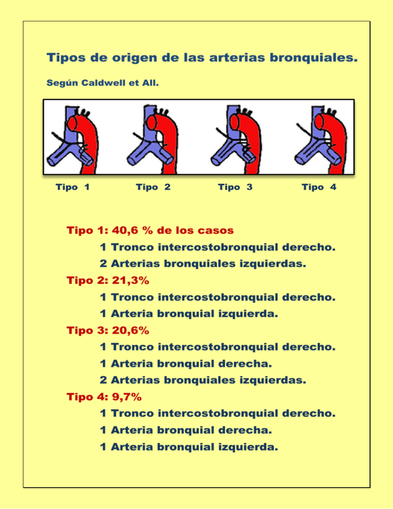 Tipos de origen de las arterias bronquiales.