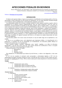 afecciones podales en bovinos