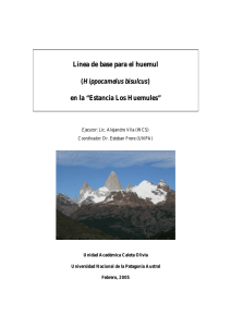 Línea de base para el huemul (Hippocamelus bisulcus) en la