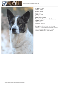 PDF - Animals Sense Sostre