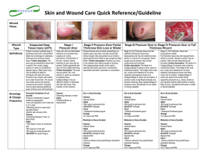 Skin & Wound Care Guideline: Pressure Ulcers, Dressings, More