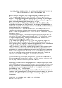 árticulo sobre la trayectoia de manos blancas hasta llegar a la final