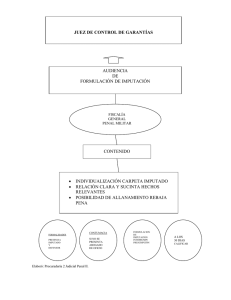 AUDIENCIA DE FORMULACIÓN DE IMPUTACIÓN CONTENIDO