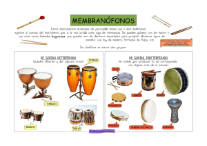Membranófonos: Instrumentos de Percusión y Clasificación