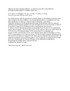 Origen de las raices espinales lumbares y su relación con los discos