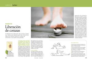 Liberación de corazas - mlc-it