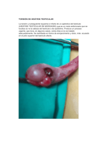 Torsión de Hidátide Testicular