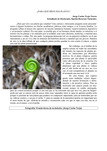 ¿PARA QUÉ SIRVE ESA PLANTA? Jorge Carlos Trejo Torres
