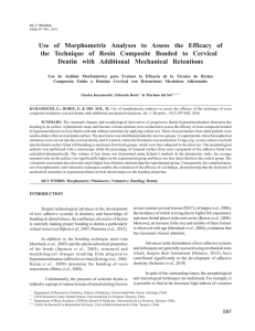 Use of Morphometric Analyses to Assess the Efficacy of the