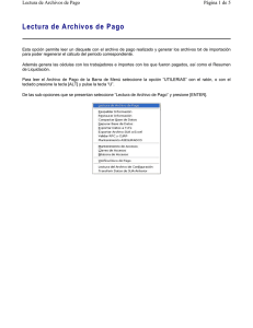 Lectura de Archivos de Pago: Manual de Usuario