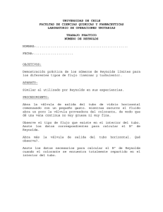 Trabajo Práctico Nº1: Número de Reynolds