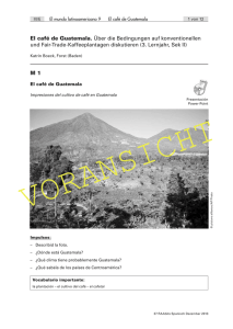 El café de Guatemala. Über die Bedingungen auf konventionellen