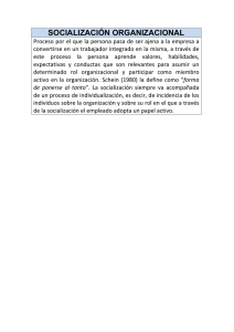 socializacion organizacional