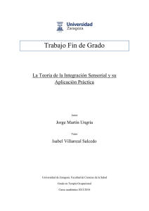La Teoría de la Integración Sensorial y su Aplicación Práctica