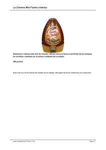 La Colmena Miel Fuerte e Intensa
