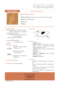 BOJ-OLIVO - Maderas y Chapas Blanquer
