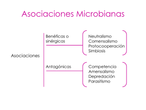 Asociaciones Microbianas: Simbiosis, Competencia y Más