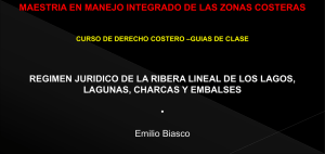 Diapositiva 1