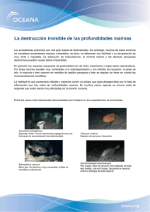 La destrucción invisible de las profundidades marinas