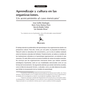 Aprendizaje y cultura en las organizaciones.