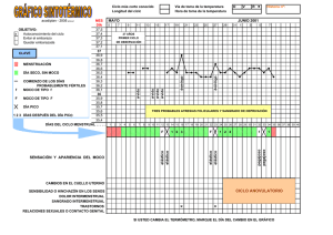 CICLO ANOVULATORIO