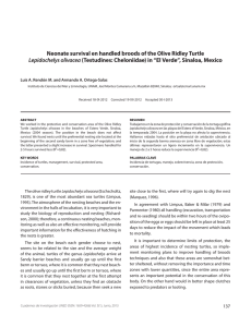 Neonate survival en handled broods of the Olive Ridley Turtle