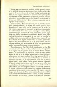 En este corte y no obstante la esterilidad fosilífera, podemos interpre