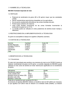60 a 65 qq/mz