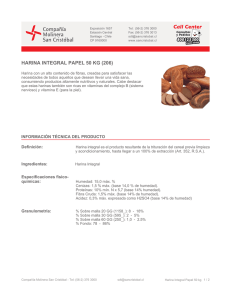harina integral papel 50 kg (206)