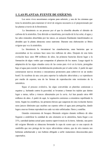1. LAS PLANTAS: FUENTE DE OXÍGENO.