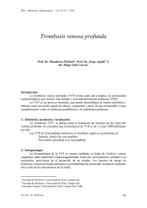 Trombosis venosa profunda