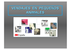 VENDAJES EN PEQUEÑOS ANIMALES