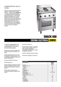 cocina electrica