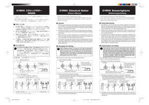 Classical Guitar Konzertgitarre