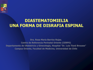 Diapositiva 1