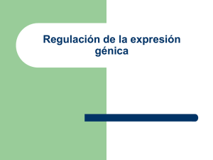 Tema 11: Síntesis de proteínas