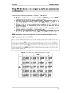 Diseño de Oligos en Ingeniería Genética: Guía Práctica