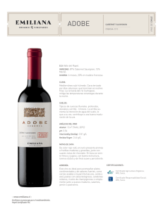 DO: Valle del Rapel. VARIEDAD: 87% Cabernet