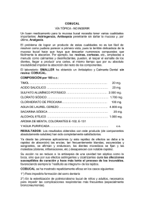 Prospecto en PDF