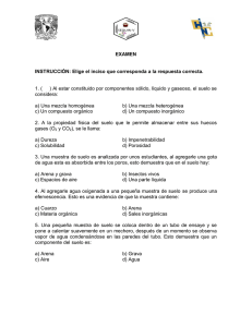 Examen de Ciencias de la Tierra: Composición y Propiedades del Suelo