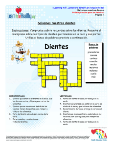 Crucigrama de Salud Dental: Tipos y Partes de los Dientes