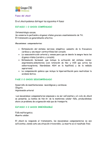 Fases del shock En el shock podemos distinguir las siguientes 4
