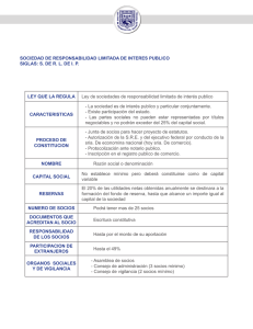 S. de R. L. de I. P.: Características y Constitución