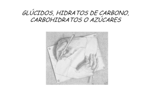 glúcidos, hidratos de carbono, carbohidratos o