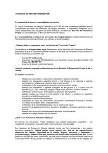 servicios de prevencion propios
