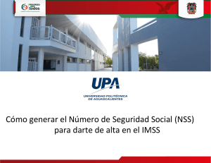 Cómo generar el Número de Seguridad Social (NSS) para darte de