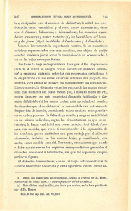 transversal del tórax mím. 2 y antero